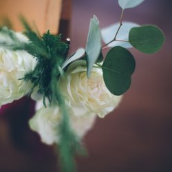 Flowers By Freddie