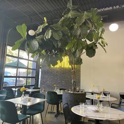 Poach Social - Restaurant indoor. I was the first customer for the day