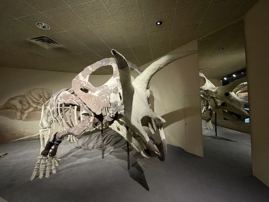 Milwaukee Public Museum by null