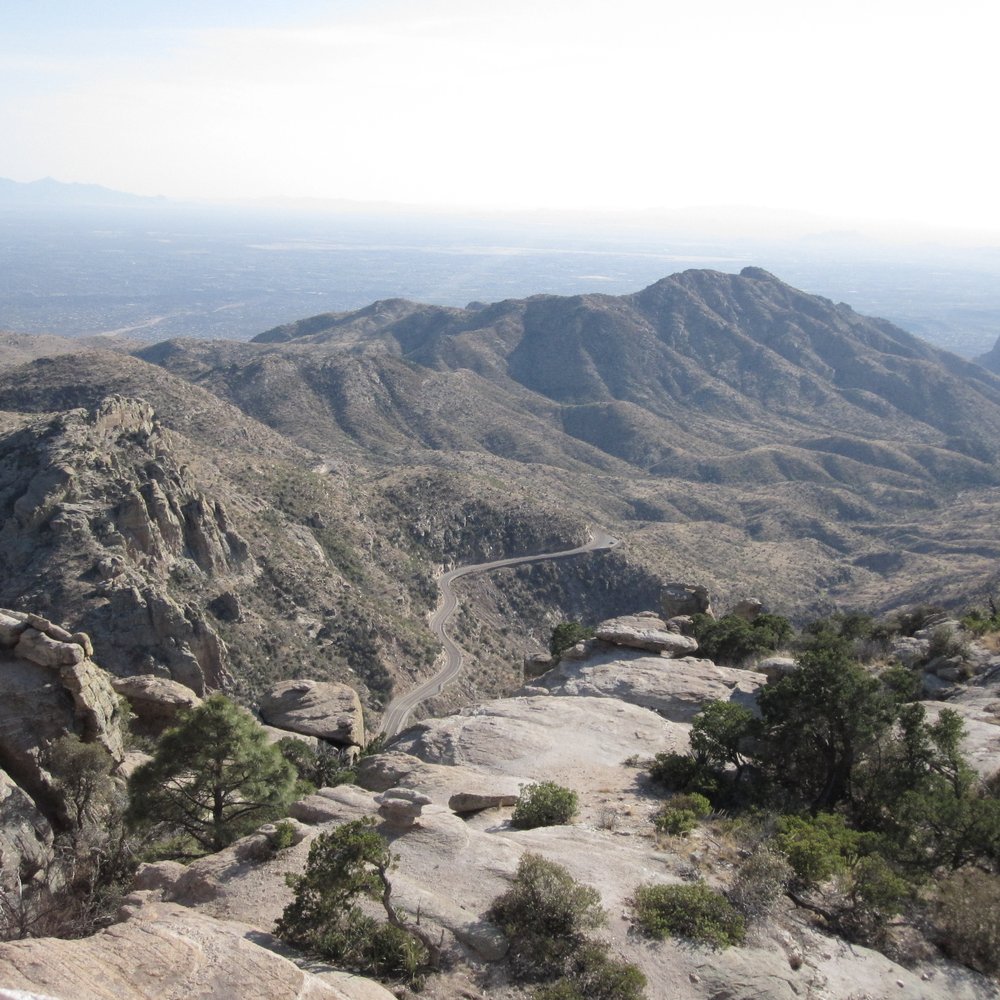 Mount Lemmon - Hiking Near Me - Tucson, Arizona Mount Lemmon - Hiking Near Me - Tucson, Arizona
