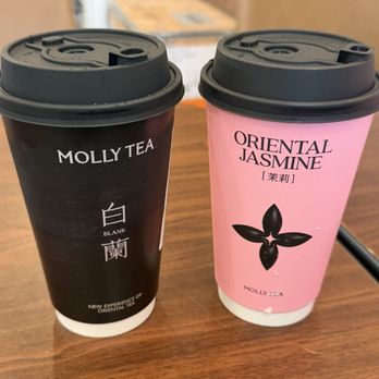 Molly Tea - Bubble Tea Near Me - Boston, Massachusetts Molly Tea - Bubble Tea Near Me - Boston, Massachusetts