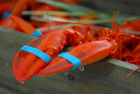 Eat Your Heart Out Catering by null