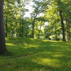 Sherwood Park - Sherwood Park in Kalamazoo MI