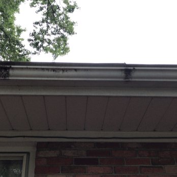 Rafael's Handyman Home Improvement - "Great" gutter cleaning - Landscaping Near Me