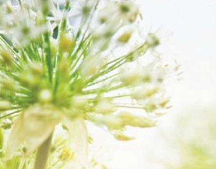 Integrative Cousenling Solutions - grief counselor in Fort Wayne, IN