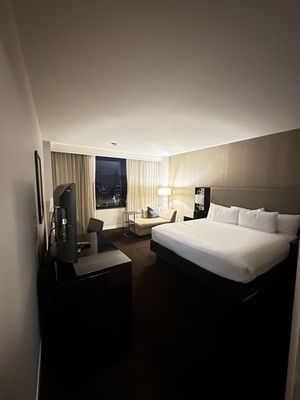 Hyatt Regency New Orleans by null