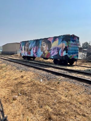 Napa Valley Vine Trail by null