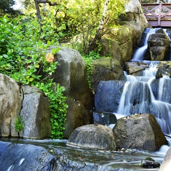 Blue Heron Lake - Electrically powered waterfall - Lakes Near Me - San Francisco, California Blue Heron Lake - Electrically powered waterfall - Lakes Near Me - San Francisco, California