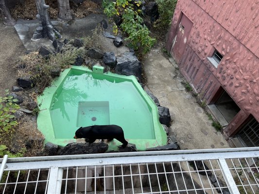 Higashiyama Zoo and Botanical Gardens by null