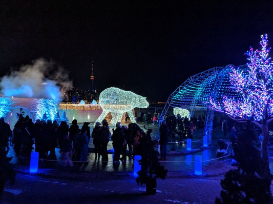 Aurora Winter Festival by null