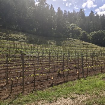 Pine Ridge Vineyards - Wineries Near Me - Napa, California