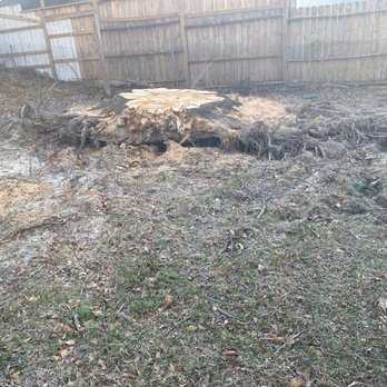 Cheap Jimm Tree Services - Tree Services Near Me - Archdale, North Carolina Cheap Jimm Tree Services - Tree Services Near Me - Archdale, North Carolina