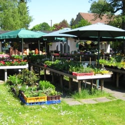 Blumen- und Pflanzenhof