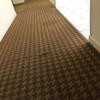 Sheraton Chapel Hill Hotel - Carpet is filthy & stained - Hotels Near Me - Chapel Hill, North Carolina Sheraton Chapel Hill Hotel - Carpet is filthy & stained - Hotels Near Me - Chapel Hill, North Carolina