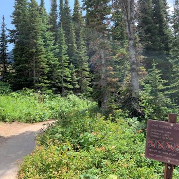 Grinnell Lake - Start of the trail to Grinnell Lake and beyond..... - Hiking Near Me - Babb, Montana