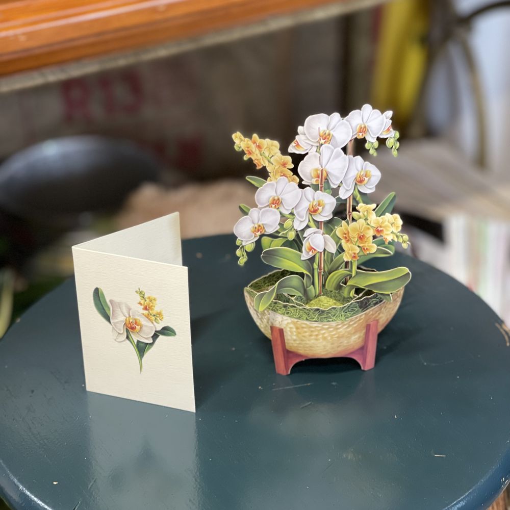 THE BEST 10 Florists near WAYNESBURG, PA 15370 - Jefferson Florist,  Neubauers Flowers, The Ivy Green - Yelp