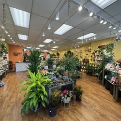 Take Root - The store
