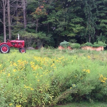Community Table - Cute backyard with vintage farmall tractor, beehive and herb garden - New American Near Me - Washington, Connecticut