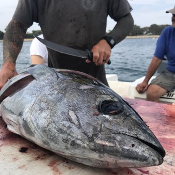 Pinnacle Sportfishing - One of the many yellowfin tuna we caught while fishing with Duane. - Fishing Near Me - San Diego, California Pinnacle Sportfishing - One of the many yellowfin tuna we caught while fishing with Duane. - Fishing Near Me - San Diego, California