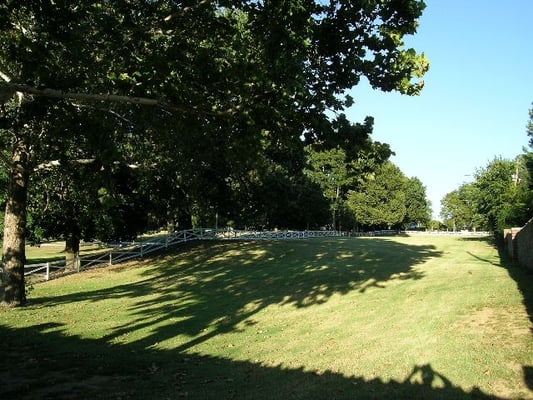 Graceland by null