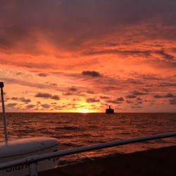 Angler Charters
