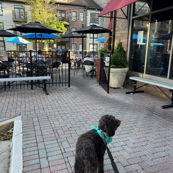 McCray's Tavern - Patio - American Near Me - Smyrna, Georgia McCray's Tavern - Patio - American Near Me - Smyrna, Georgia