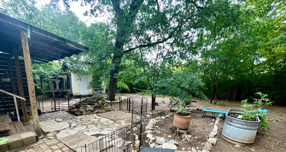 The Wayside Inn - pet boarding facility in Austin, TX
