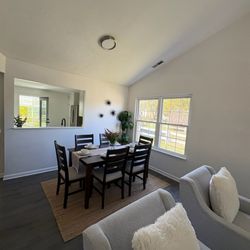 All In 1 Mold Contractors