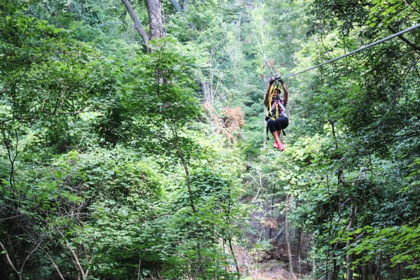 Shawnee Bluffs Canopy Tour by null