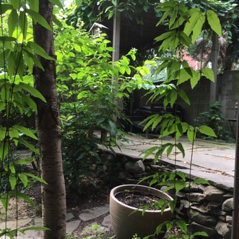 Brooklyn Flow - Tiny yard you can see from the class window - Yoga Near Me - Brooklyn, New York