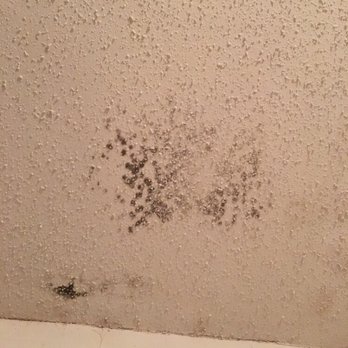Sawmill Creek - Mold they painted over! - Apartments Near Me - River Ridge, Louisiana Sawmill Creek - Mold they painted over! - Apartments Near Me - River Ridge, Louisiana