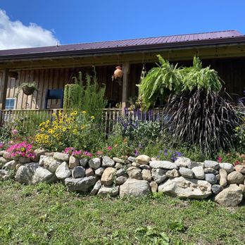 Crazy Daisies - Cafe - Nurseries & Gardening Near Me - Syracuse, New York Crazy Daisies - Cafe - Nurseries & Gardening Near Me - Syracuse, New York