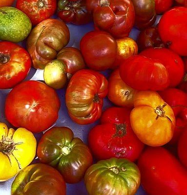 Eckerton Hill Farm by null