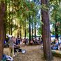 Photo of Fairfax Community Farmers Market
