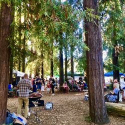 Fairfax Community Farmers Market