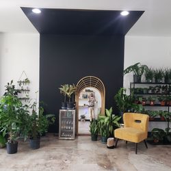 Aura Plant Studio - Drinks and cool spot for photos
