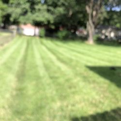 The Lawn Fellaz