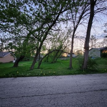 Neighbor Tree Service - Before street view - Tree Services Near Me - Palatine, Illinois