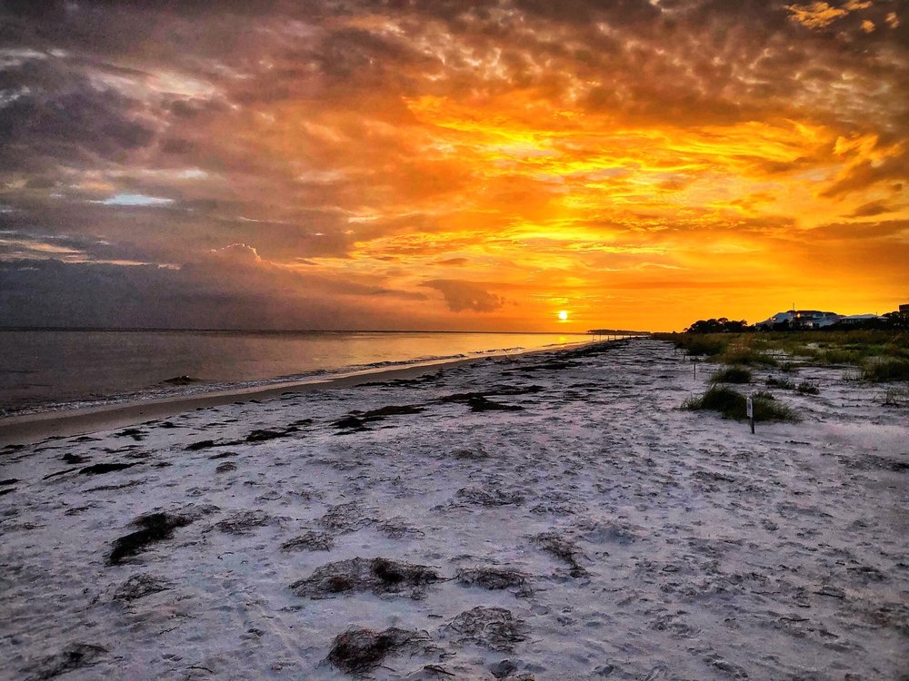 ALLIGATOR POINT Updated September 2024 73 Photos & 15 Reviews