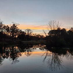 Avondale Park