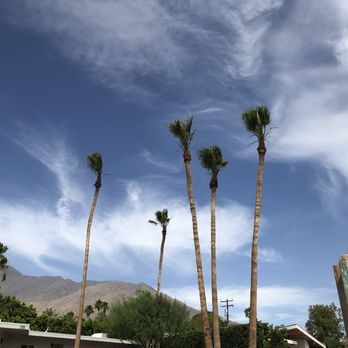 Palm Desert Tree Service - Tree Services Near Me - Palm Desert, California Palm Desert Tree Service - Tree Services Near Me - Palm Desert, California