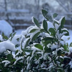 City of White Plains - Baby...It's Cold Outside