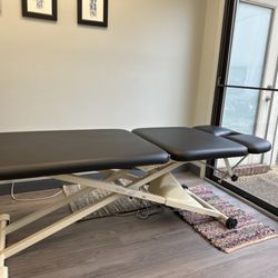 Take Control Physical Therapy - Table allows assessment