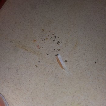 Robtco Property Management - Mice feces found weekly on counters and food areas in kitchen - Property Management Near Me - Washington, DC, District of Columbia Robtco Property Management - Mice feces found weekly on counters and food areas in kitchen - Property Management Near Me - Washington, DC, District of Columbia