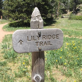 Lily Lake - Parks Near Me Lily Lake - Parks Near Me