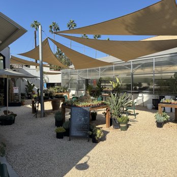 Creature's Plants and Coffee - Coffee & Tea Near Me - Los Angeles, California Creature's Plants and Coffee - Coffee & Tea Near Me - Los Angeles, California