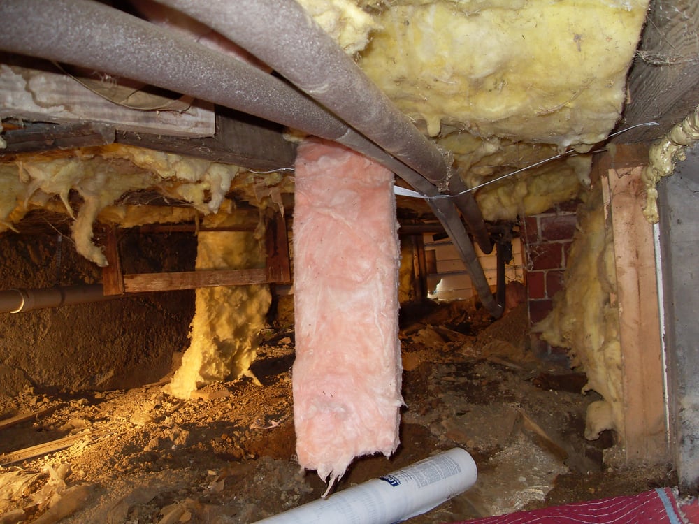 ENERGY PRICE CUTTERS Updated August 2024 96 Photos 557 Downing St