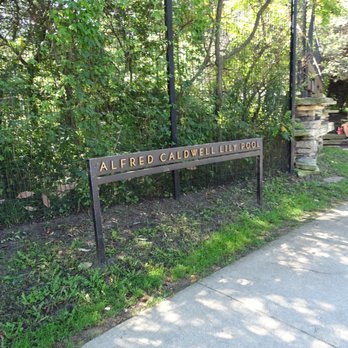 Alfred Caldwell Lily Pool - Parks Near Me - Chicago, Illinois