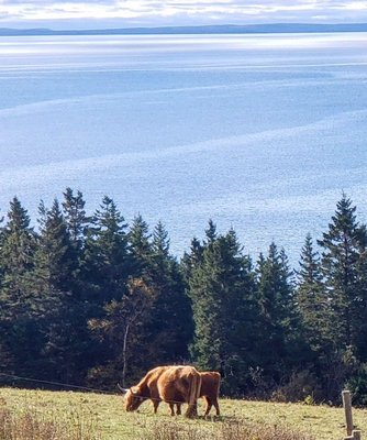 Highland Village Museum by null