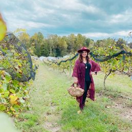 In the vineyard In the vineyard